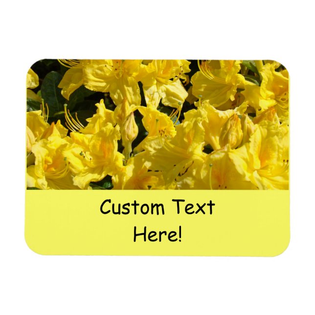 Flexible Magnets Custom text Yellow Rhododendrons (Horizontal)