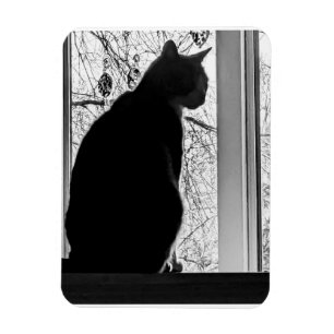 Flexible Photo Magnet