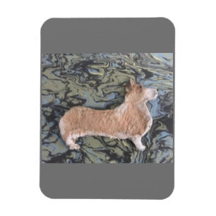 Flexible Photo Magnet