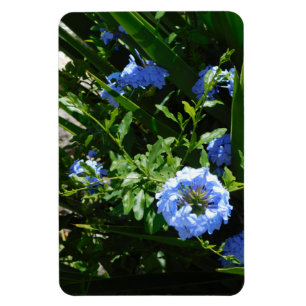 Flexible Photo Magnet flower blue design
