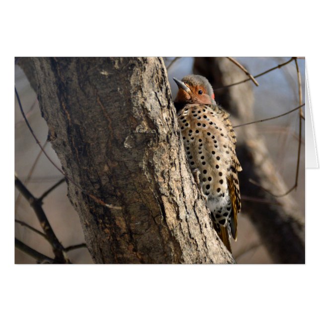Flicker (Front Horizontal)