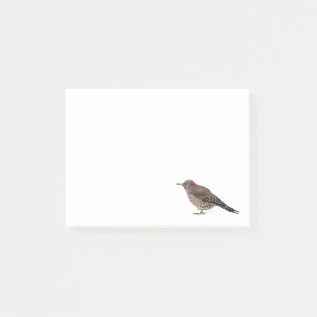 Flicker Post-it Notes (Front)