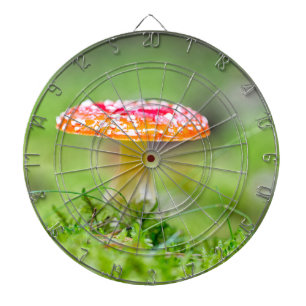 Fliegenpilz Dartboard