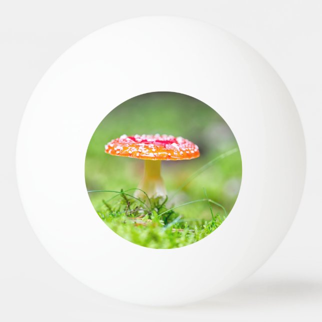 Fliegenpilz Ping Pong Ball (Back)