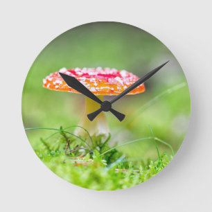 Fliegenpilz Round Clock