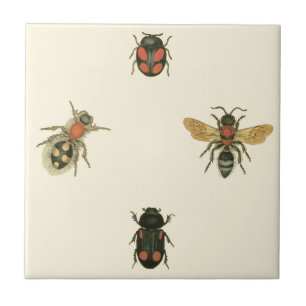 Flies and Beetles by Vision Studio Ceramic Tile
