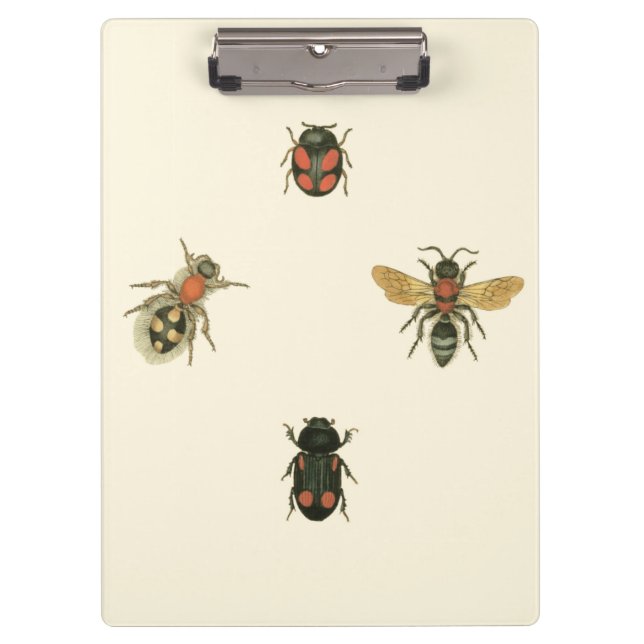 Flies and Beetles by Vision Studio Clipboard (Front)