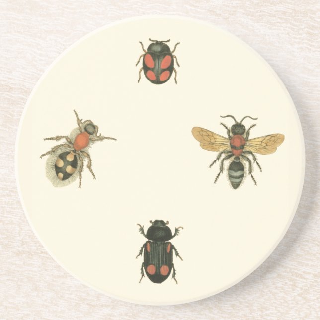 Flies and Beetles by Vision Studio Coaster (Front)