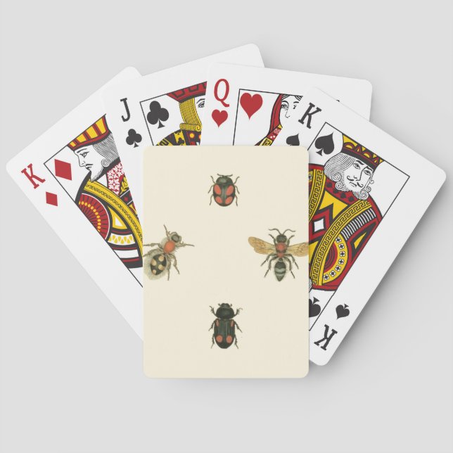 Flies and Beetles by Vision Studio Playing Cards (Back)