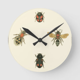 Flies and Beetles by Vision Studio Round Clock