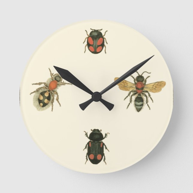 Flies and Beetles by Vision Studio Round Clock (Front)