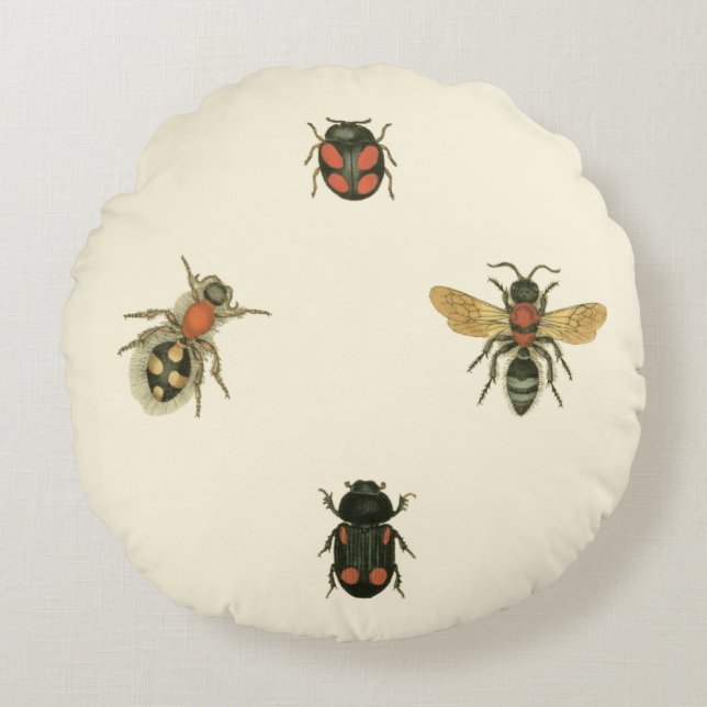 Flies and Beetles by Vision Studio Round Cushion (Front)
