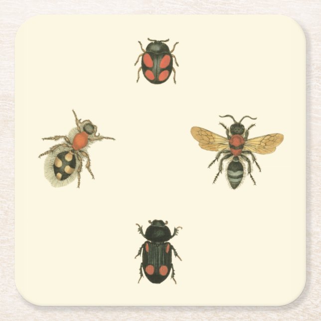 Flies and Beetles by Vision Studio Square Paper Coaster (Front)