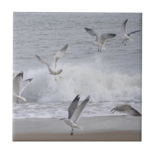 Flight Ceramic Tile (Front)