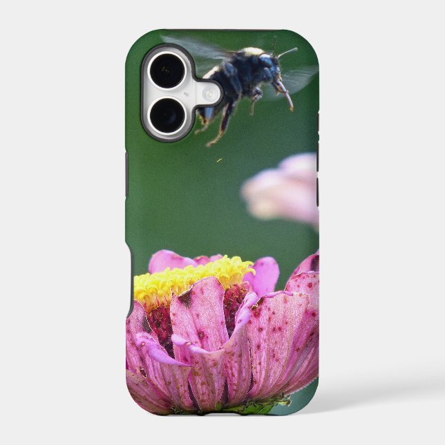 Flight of the Bumblebee (Back)