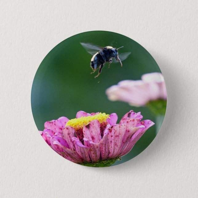 Flight of the Bumblebee 6 Cm Round Badge (Front)