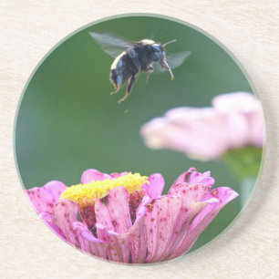 Flight of the Bumblebee Coaster