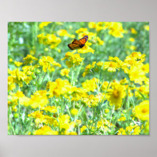 Flight of the Butterfly Poster