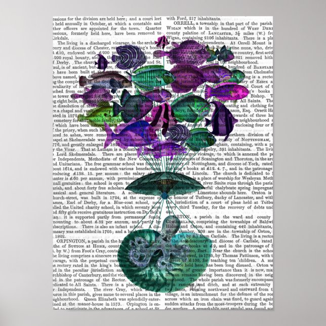 Flight Of The Fish Hot Air Balloon Poster (Front)