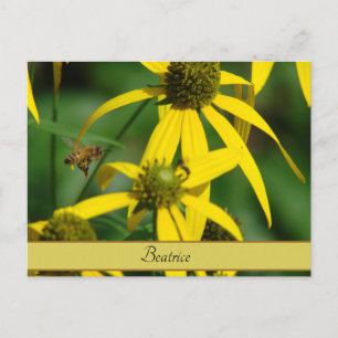 Flight of the honeybee postcard