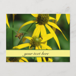 Flight of the honeybee postcard