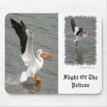 Flight of the Pelican