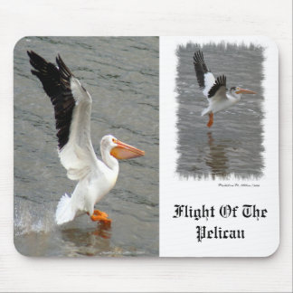 Flight of the Pelican Mouse Pad