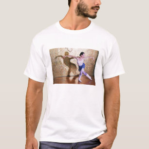 Flight of the Swan Shirt