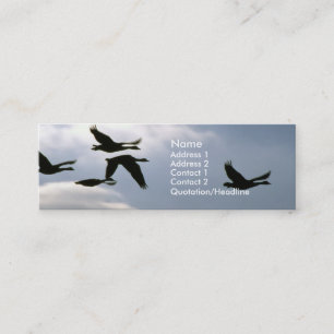 Flight of the Wild Geese   No. 2 Mini Business Card