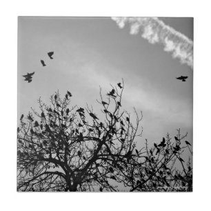 Flight Path Ceramic Tile