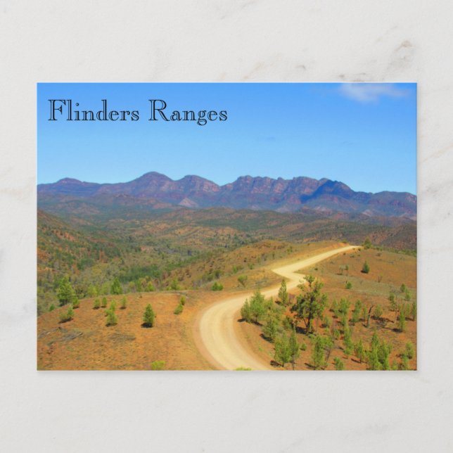 flinders ranges road postcard (Front)