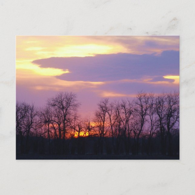 Flint Hills sunset Postcard (Front)
