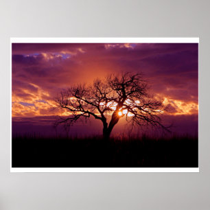 Flint Hills Sunset Poster
