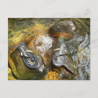 Flip Flops in Spring Postcard