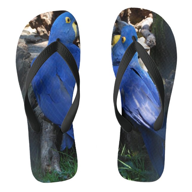 flip flops _ parrots _ kiss (Footbed)