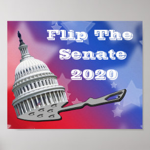 Flip The Senate Vote 2020 Poster