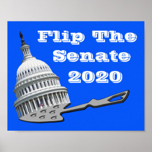 Flip The Senate Vote Blue 2020 Poster