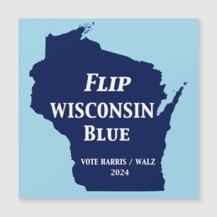 Flip Wisconsin Blue in 2024