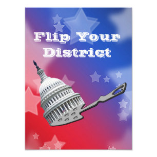 Flip Your District Vote 2026 Photo Print