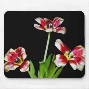 Flipped Out Mouse Pad