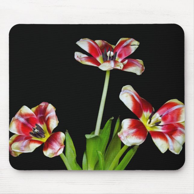 Flipped Out Mouse Pad (Front)