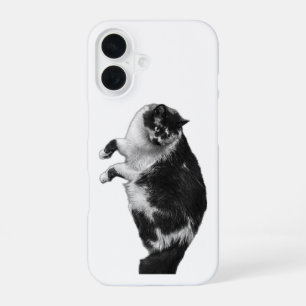 Flipped Whiskers Cat Phone Case