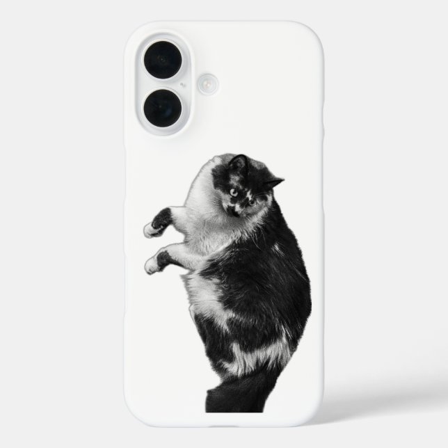Flipped Whiskers Cat Phone Case (Back)