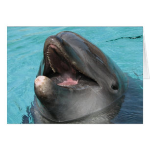 Flipper Card