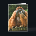 Flipping Monkey-Orangutan - Birthday Card<br><div class="desc">About this item * INSIDE GREETING: "Happy Effing Birthday!" COVER - [image of orangutan holding up the middle finger] * SIZE - Some styles are available blank or with a greeting inside. Fits neatly in an elegant, sturdy 5" x 7" paper mailing envelope with a pointed flap. * USE -...</div>