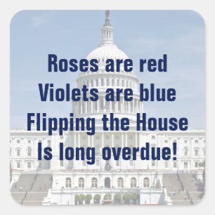 Flipping The House of Representatives Square Sticker