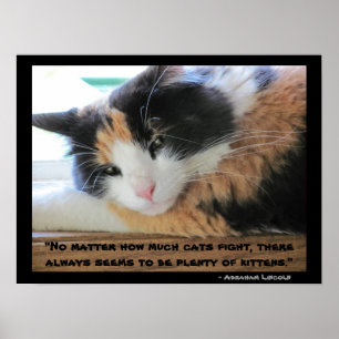 Flirty eyed calico with Abraham Lincon  quote Poster