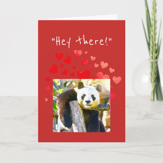 Flirty Panda Bear Make Valentine's Day Special Holiday Card (Front)