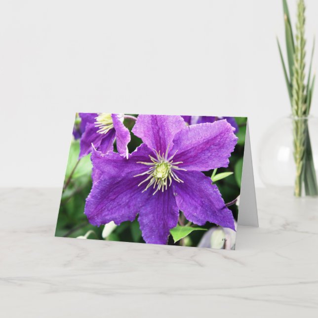 Flirty, Thinking of You Card (Front)