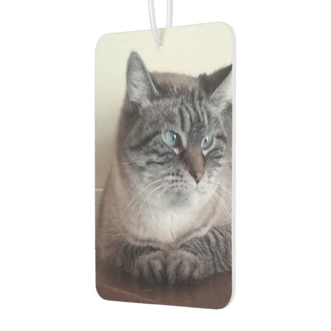 Flo Kitty-Kat Car Air Freshener (Left)